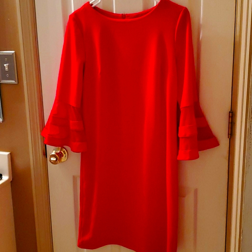 Beautiful Bell sleeved dress